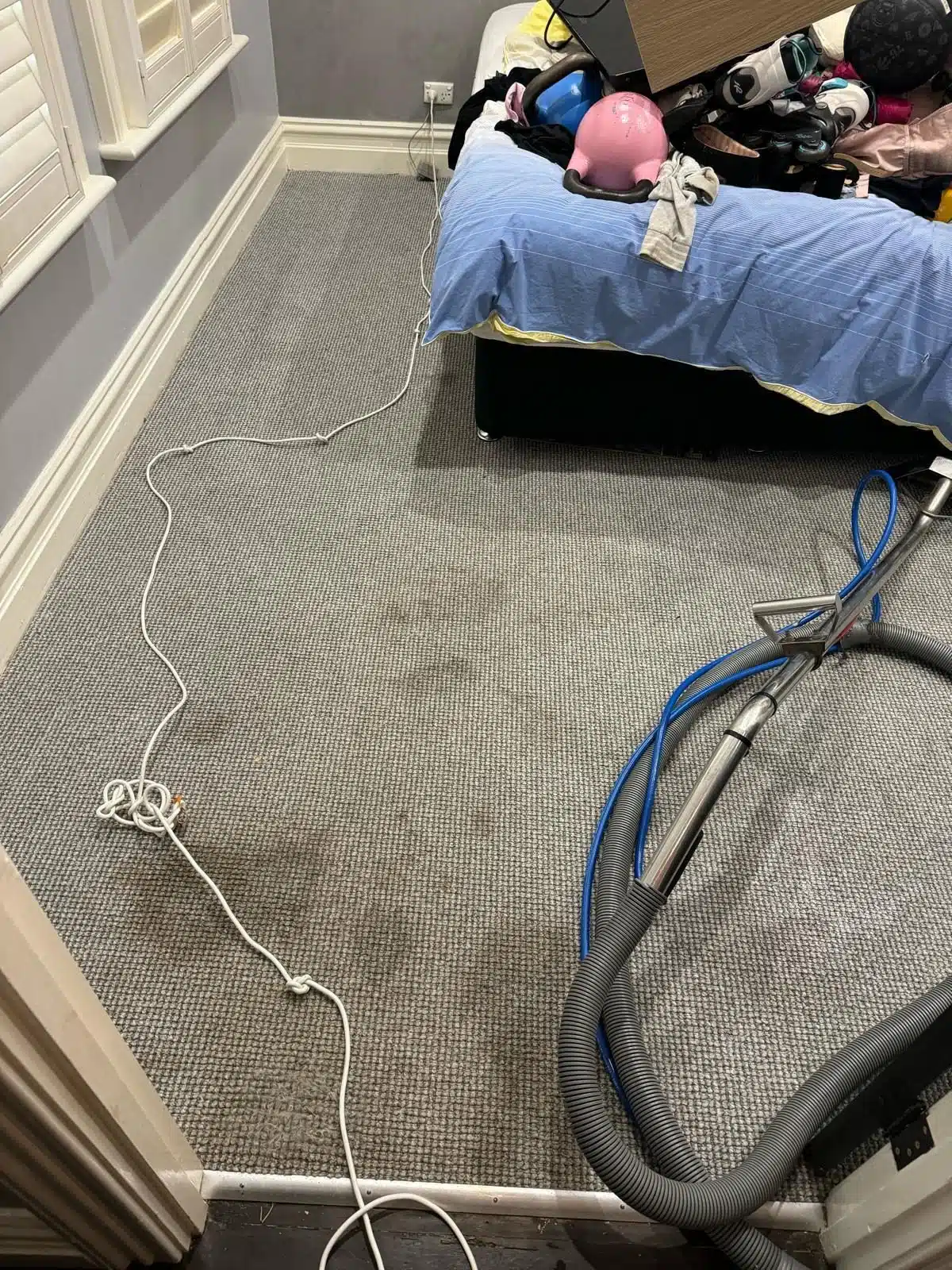 Hot water extraction wand cleaning bedroom carpet in a Melbourne home