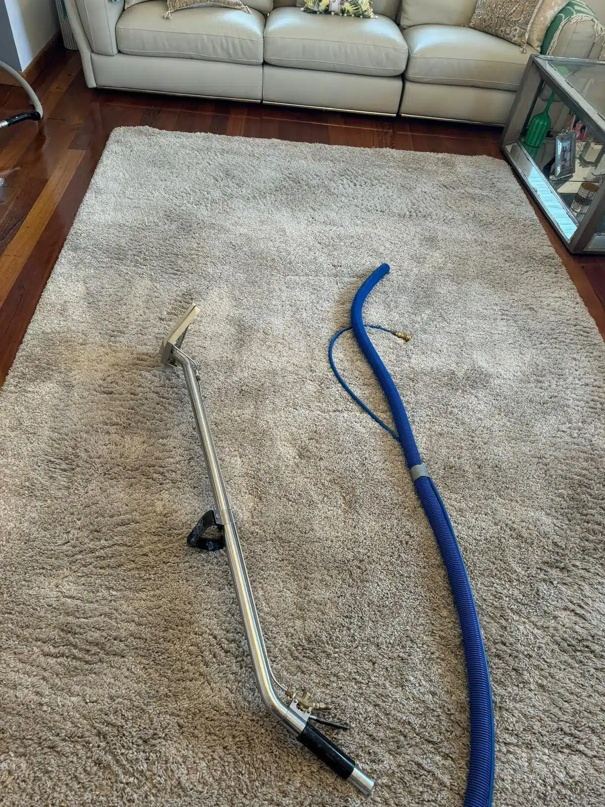 Shag rug part way through cleaning with visible wand strokes and extraction hose