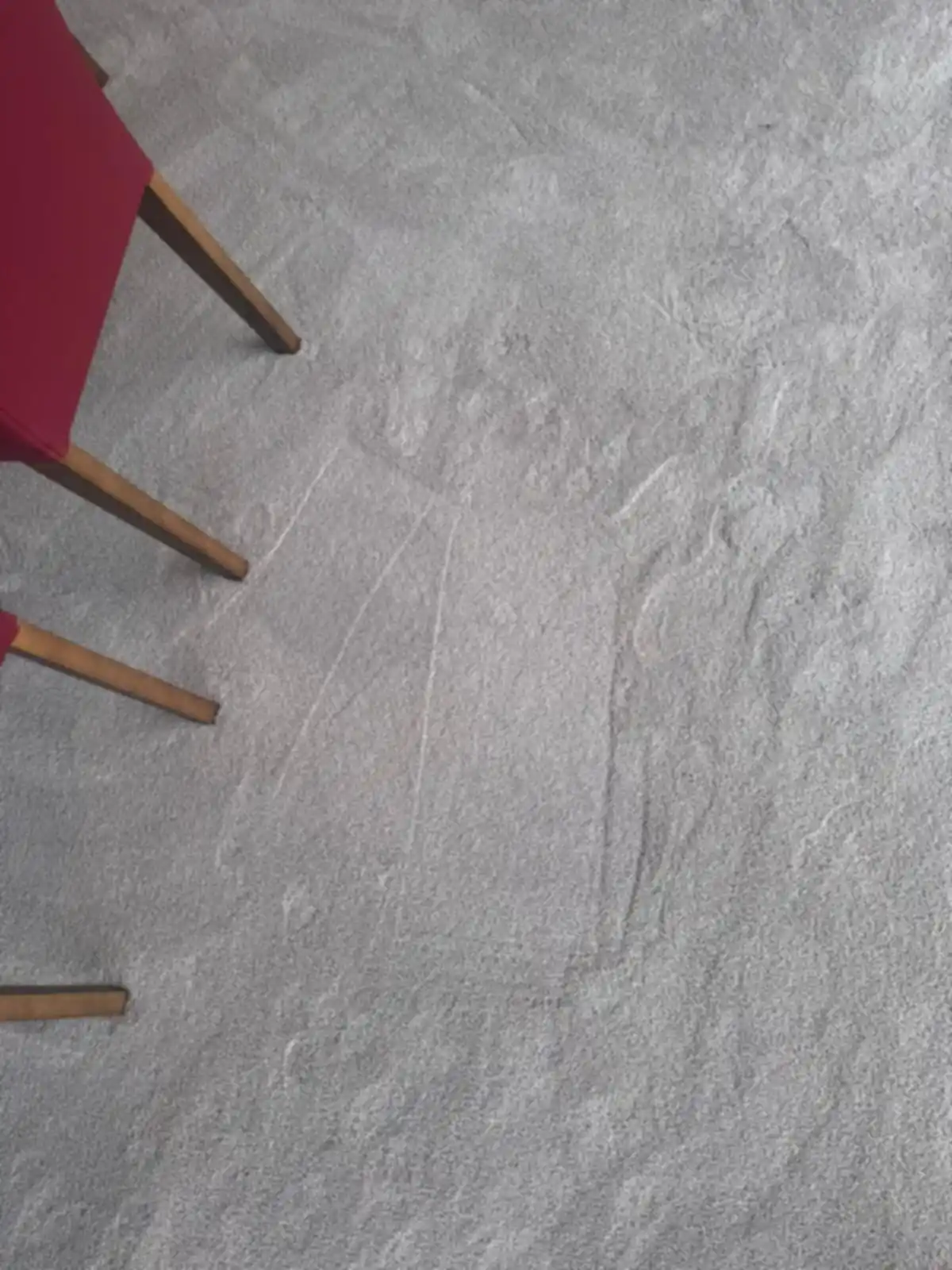 Clean grey carpet after professional cleaning in a Melbourne home