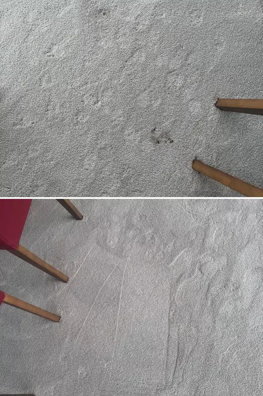 Dining room carpet before and after cleaning, soil spots removed