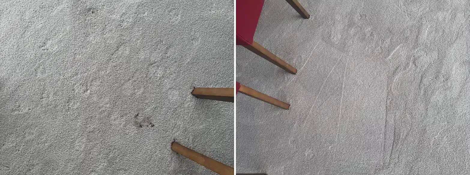 Dining room carpet before and after cleaning, soil spots removed
