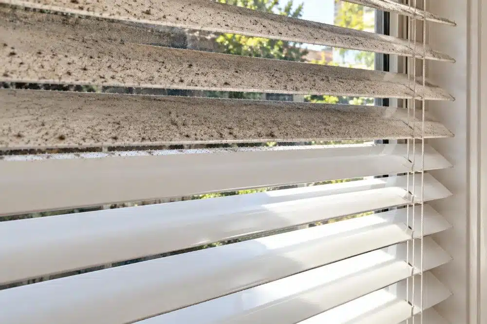 Dusty venetian blind slats above slats already wiped clean