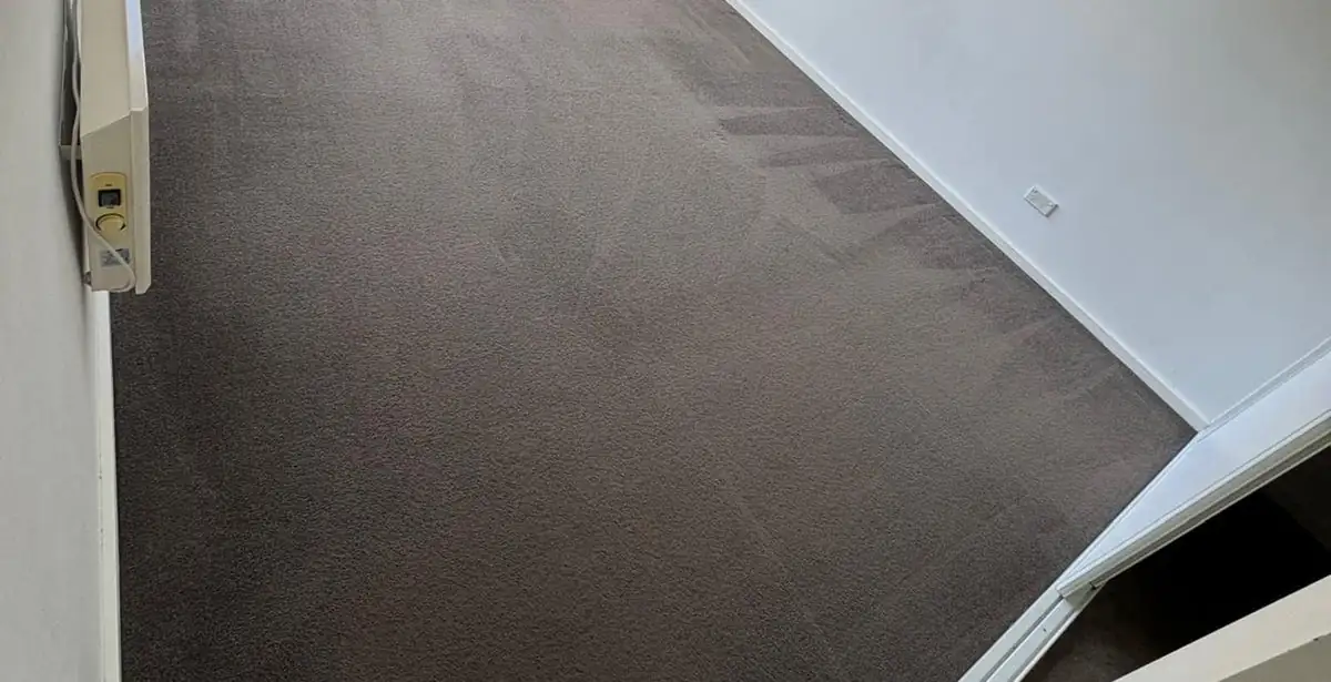 Freshly cleaned carpet in an empty Melbourne rental bedroom ready for the final inspection