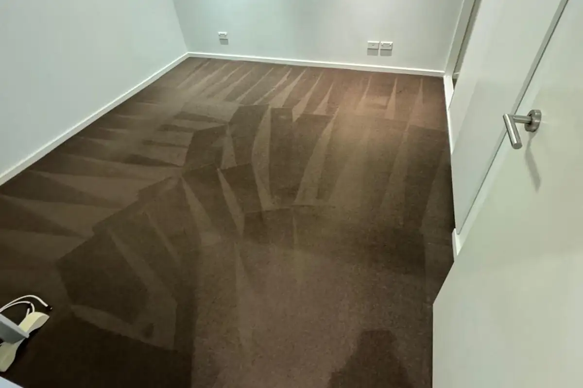 Carpet cleaning lines in an empty bedroom after a move out clean