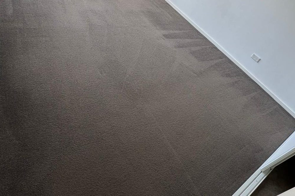 Empty rental bedroom with freshly cleaned carpet